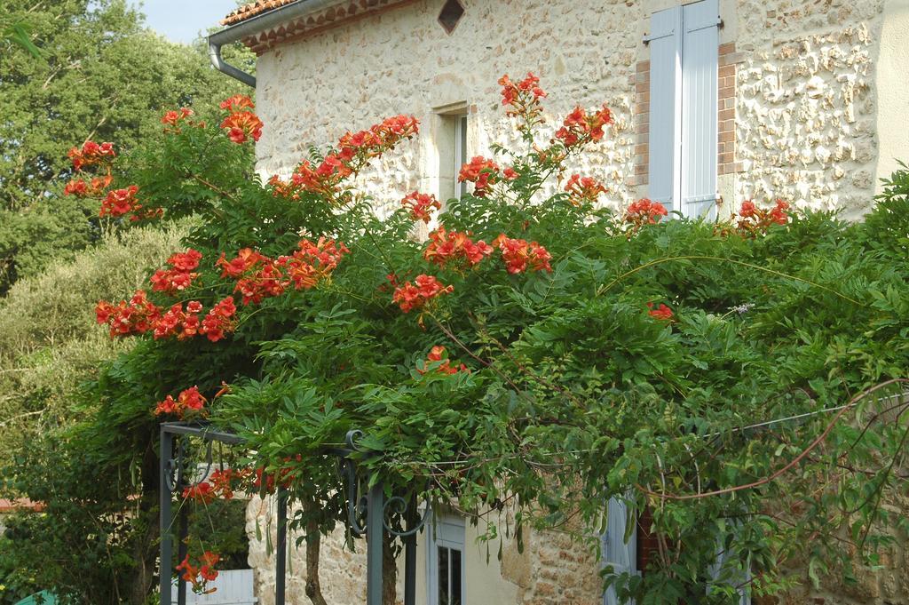 Villa Domaine De Cimelia Fauch Exterior foto